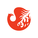 Davidson Consulting i Wspólnic