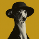 Premium Pet Shop