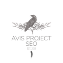 Avis Project SEO