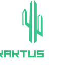 KaktusAds Media Agency