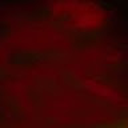 Bloodfy