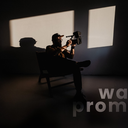 Wepromedia
