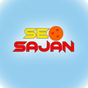 Freelancer SEO Sajan