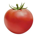 pomidor