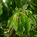 FotogorafiaDobregoCzasu