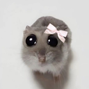 jcierniak