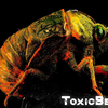 ToxicBeast
