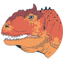 _BigBearStudio