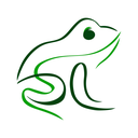 Frog Visual