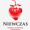 Niewczas Szkółka Sadzonek