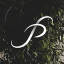 PS VIZ