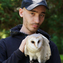 Lambert