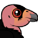 Konrad (kondor)