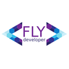 Fly Developer