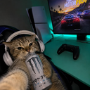 Qubusik