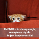 TenModelTakMa