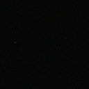 Lukrecja2536
