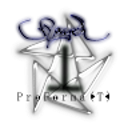FlagerPL