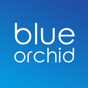 Blue Orchid