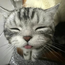 Dongbin