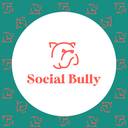 social_bully