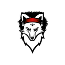 FOXXY Studio