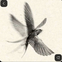 libre_studio