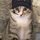 Bartek