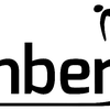 Amberjet