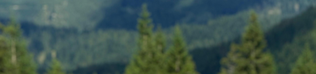 Cover photo