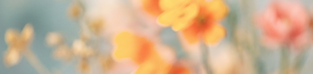 Cover photo