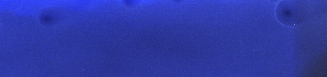 Cover photo