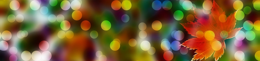 Cover photo