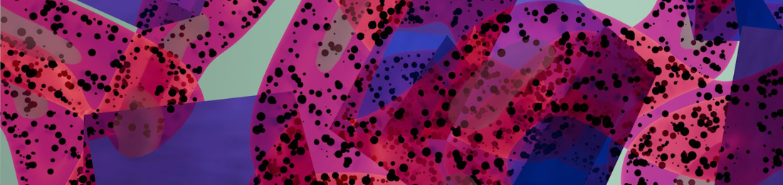 Cover photo