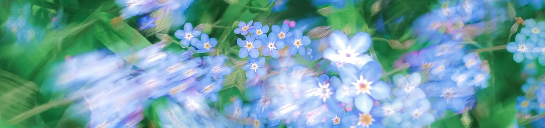 Cover photo