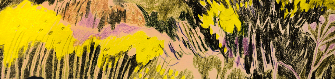 Cover photo