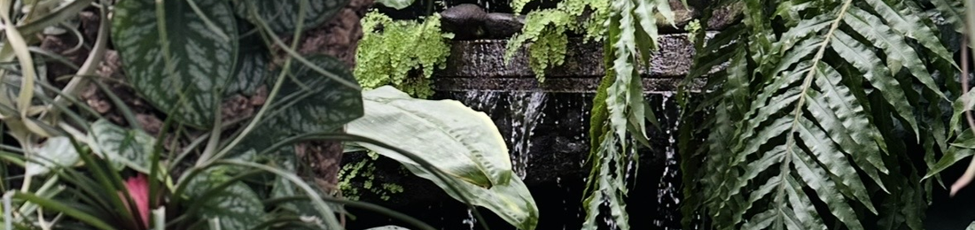 Cover photo