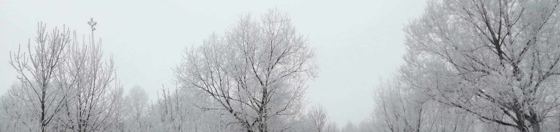 Cover photo