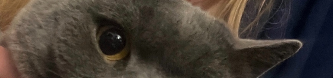 Cover photo