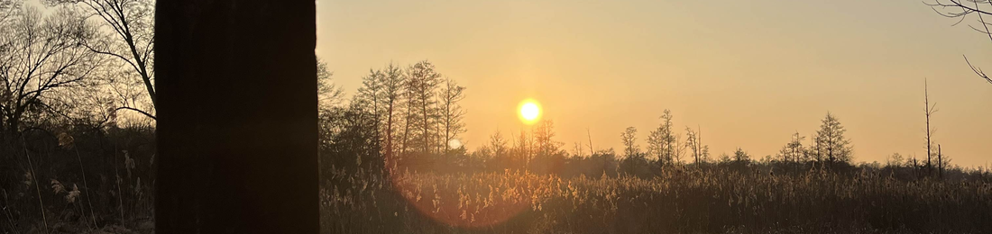 Cover photo