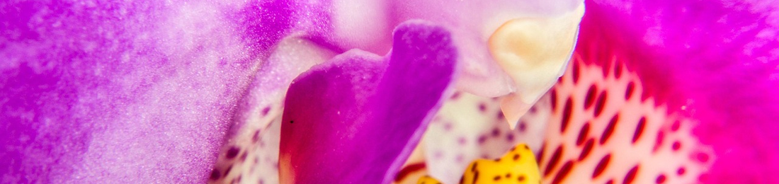 Cover photo