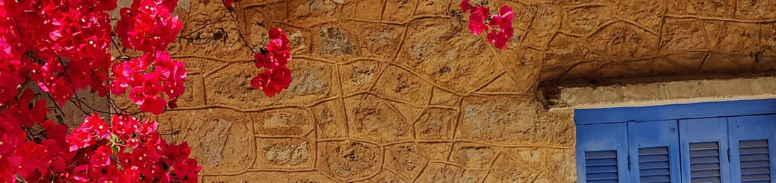 Cover photo