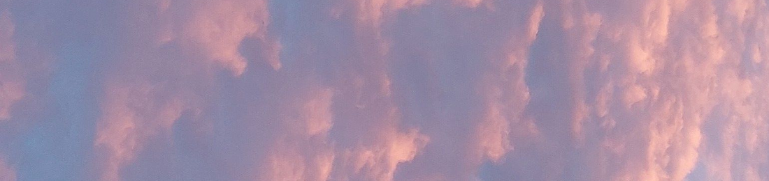 Cover photo