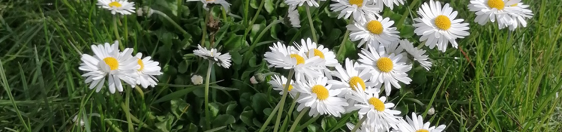 Cover photo