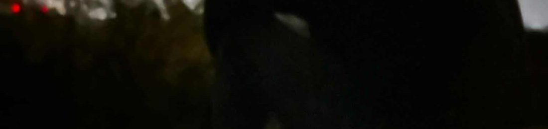 Cover photo