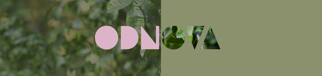 Cover photo