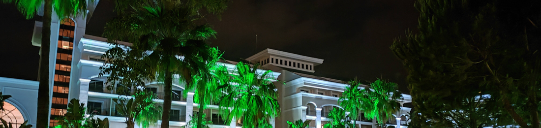 Cover photo
