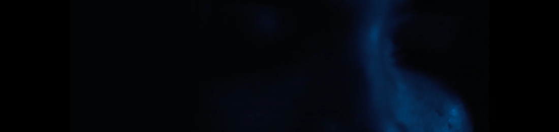 Cover photo