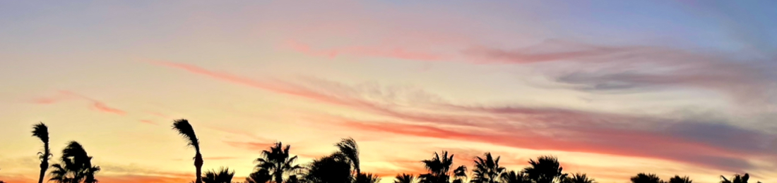 Cover photo