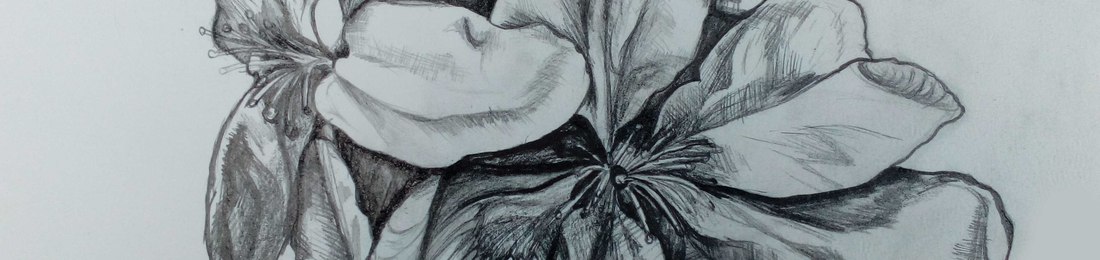 Cover photo